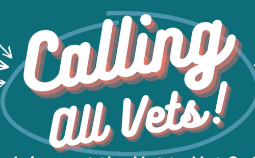 Text that says Calling All Vets!