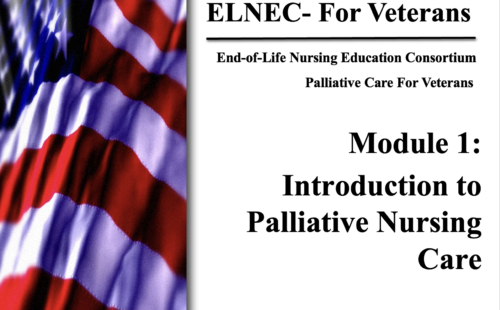 A powerpoint slide with a cropped US flag on the left side. The right side is text that says ELNEC - For Veterans.